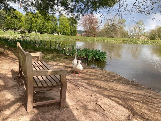 Bodenham Arboretum