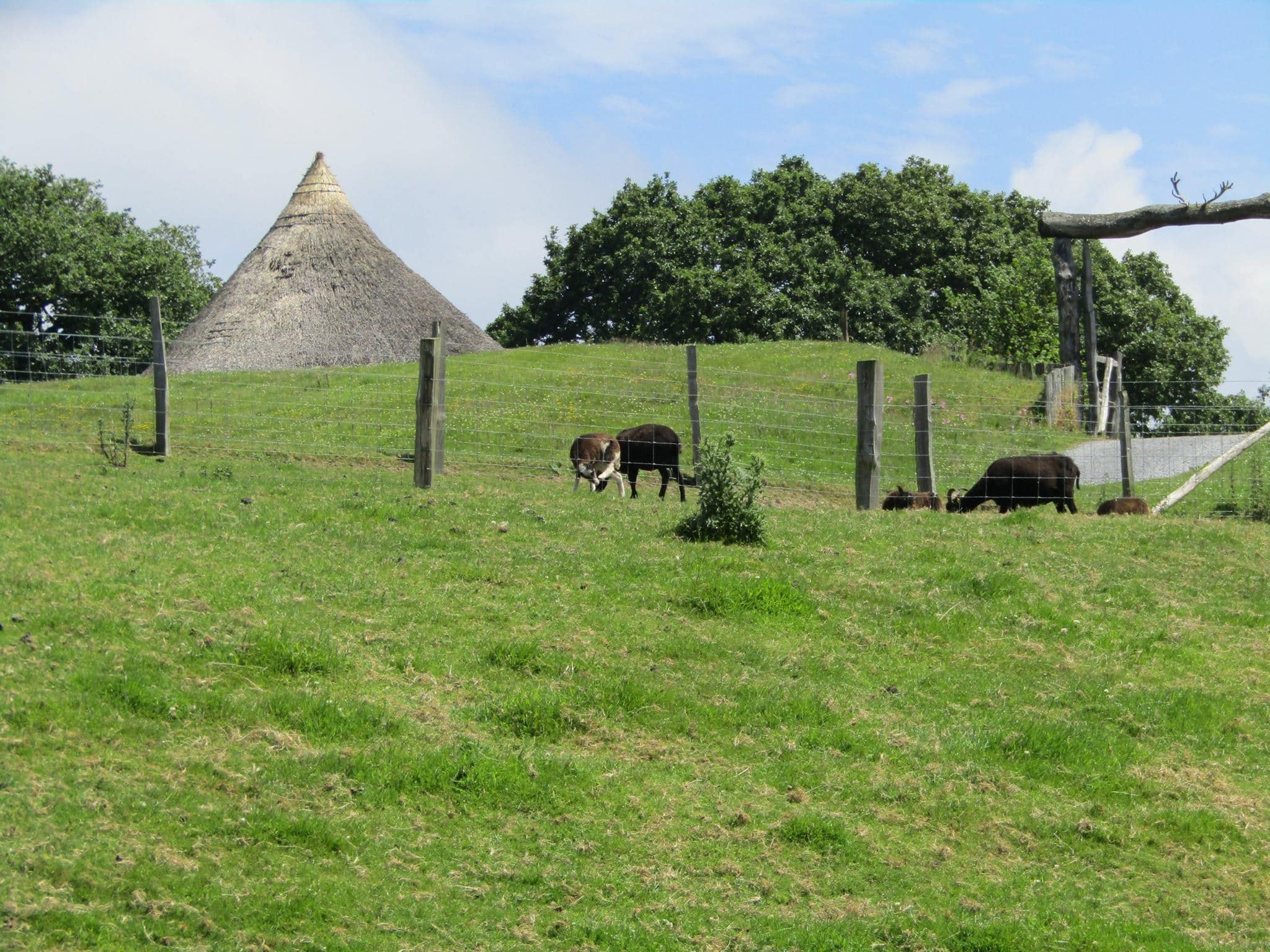 Castell Henllys Iron Age Village