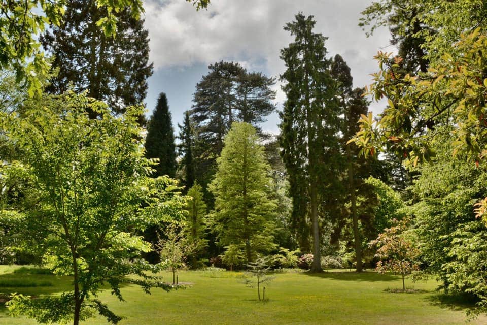 Arley Arboretum and Gardens