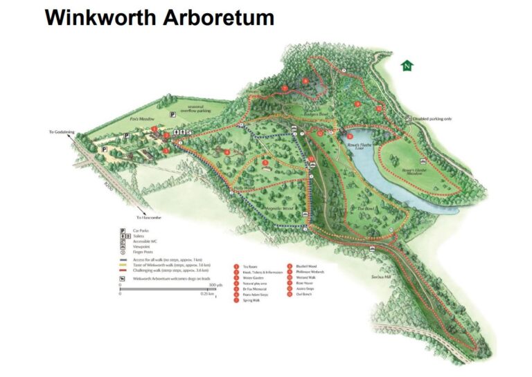 winkworth-arboretum-where-to-go-with-kids-surrey