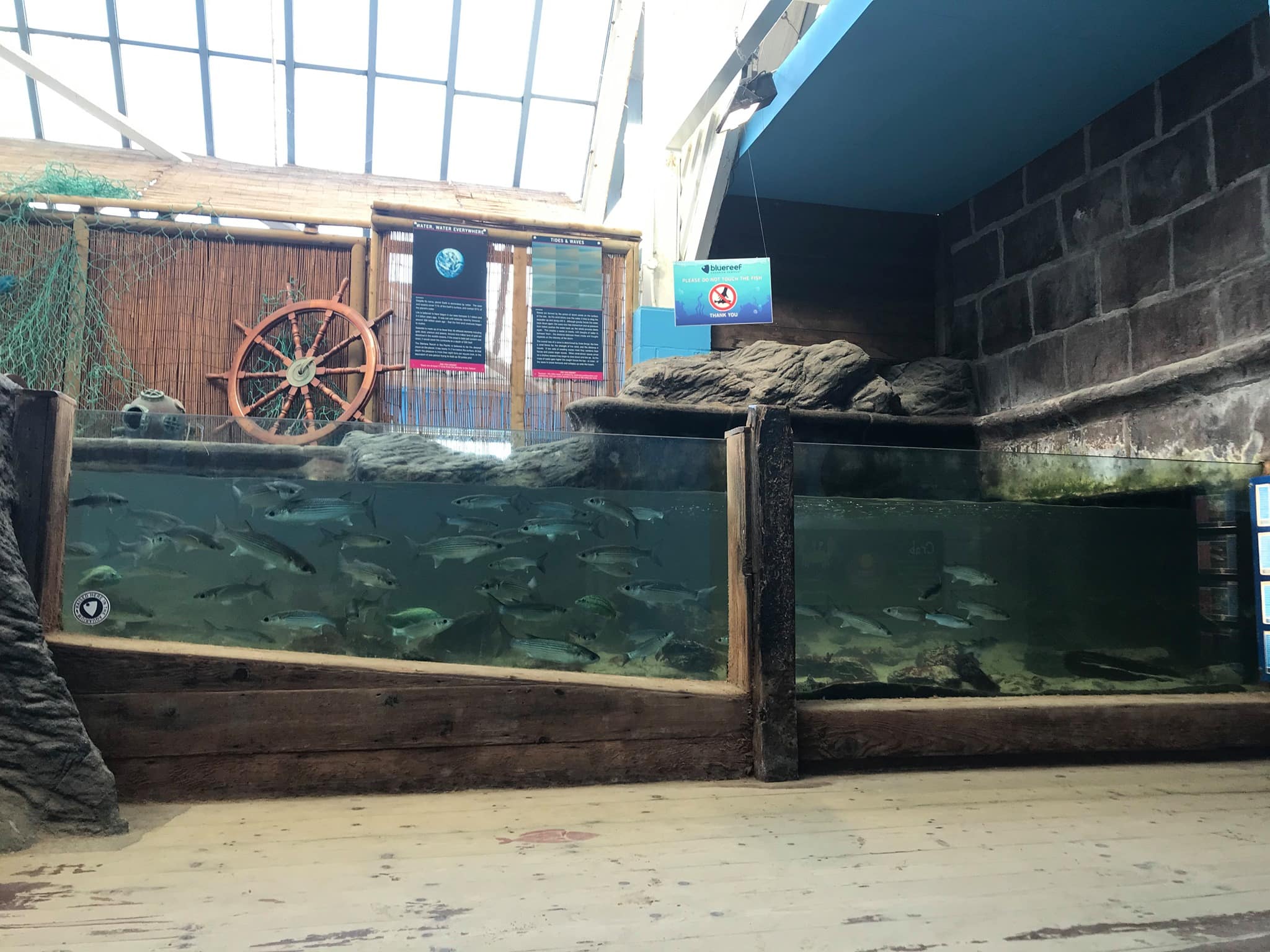 Blue Reef aquarium, Cornwall