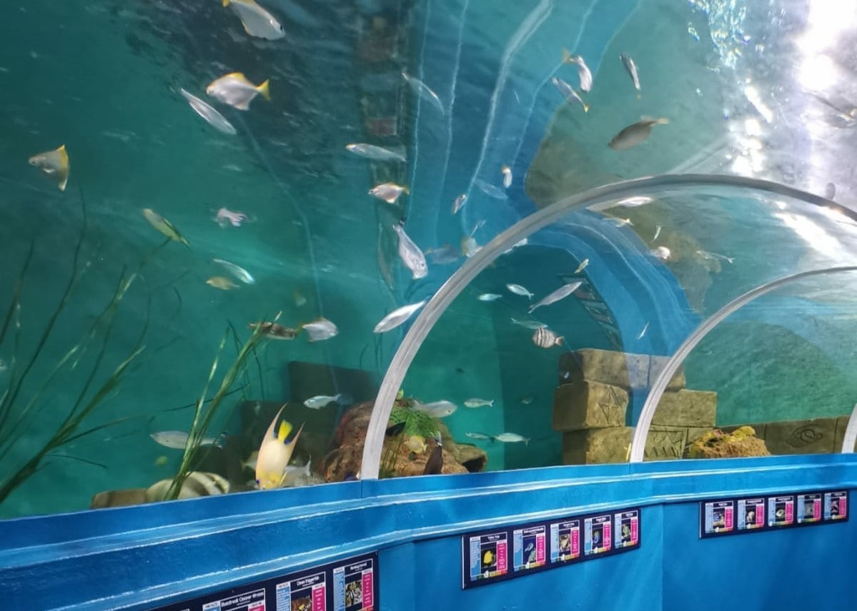 Blue Reef aquarium, Portsmouth