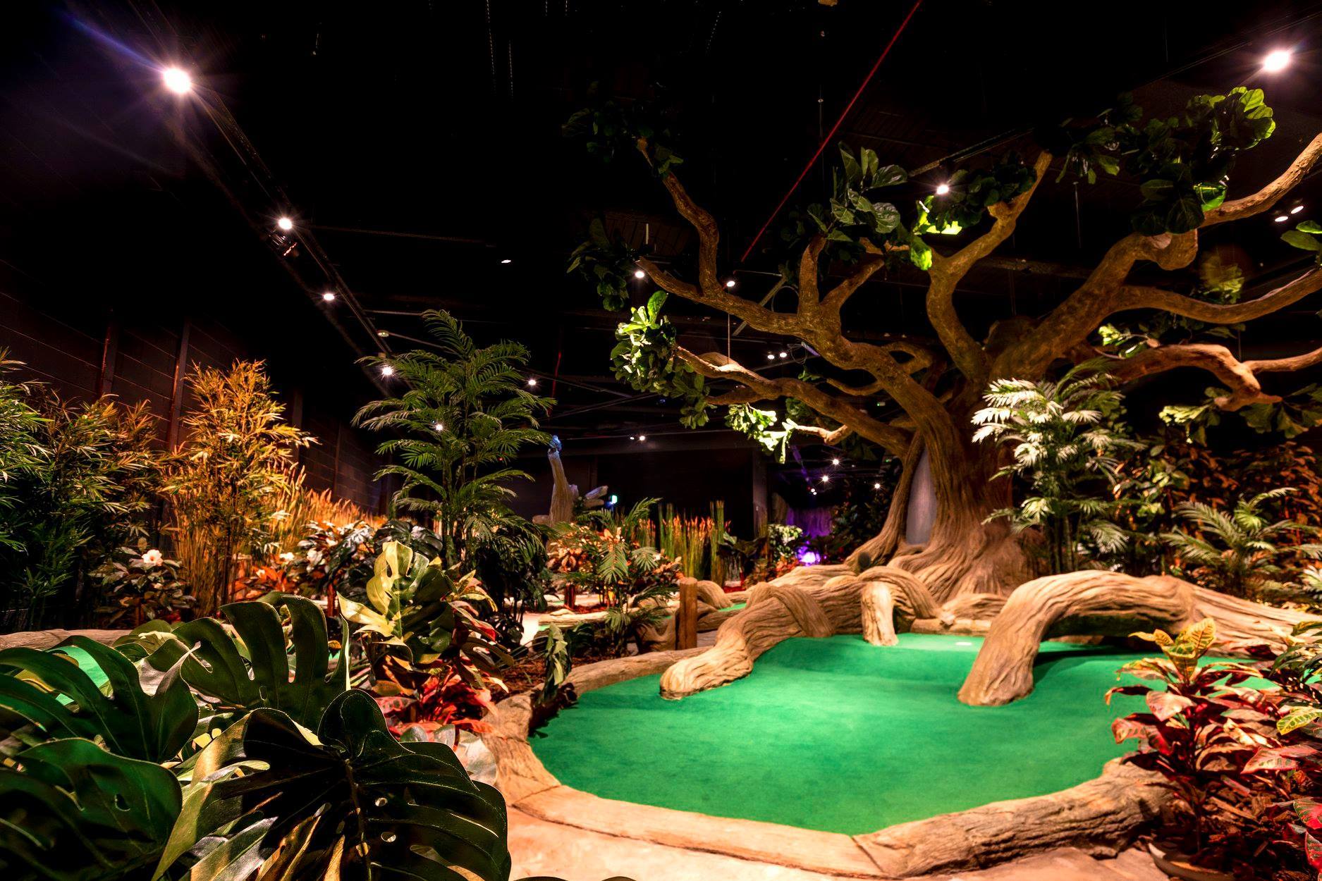 Treetop adventure Golf Manchester