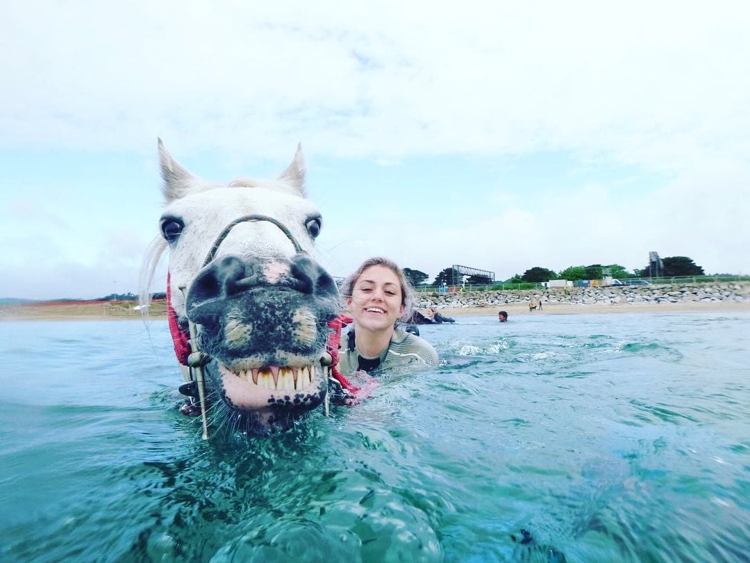 Cornwall swimming  Horses