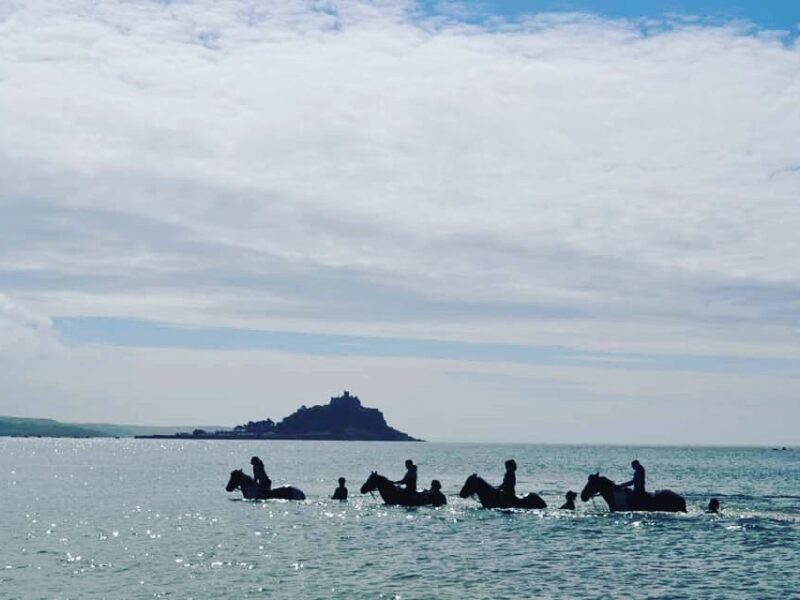 Cornwall Swimming Horses