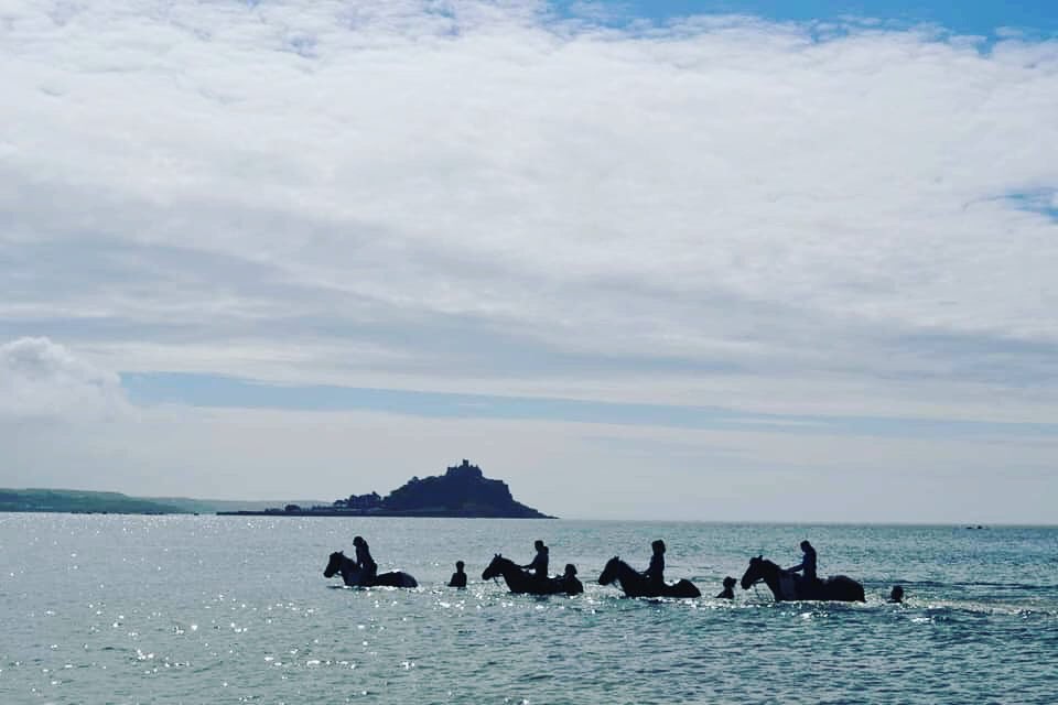 Cornwall swimming  Horses