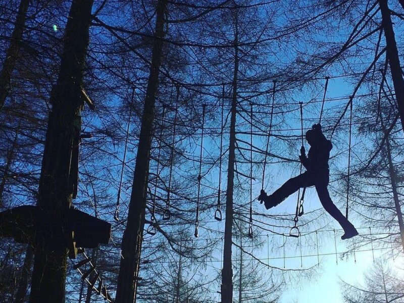 Go Ape Woburn