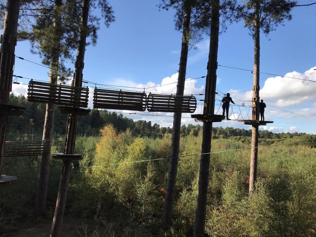 Featured image for Go Ape Cannock Chase