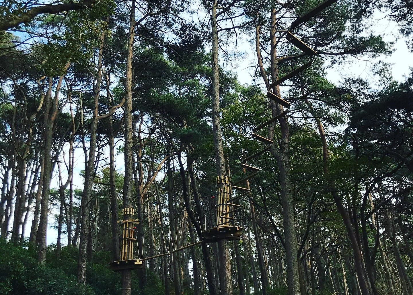 Go Ape Margam