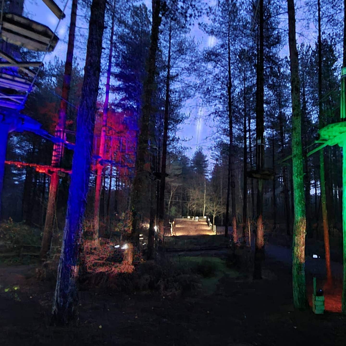 Go Ape Moors Valley