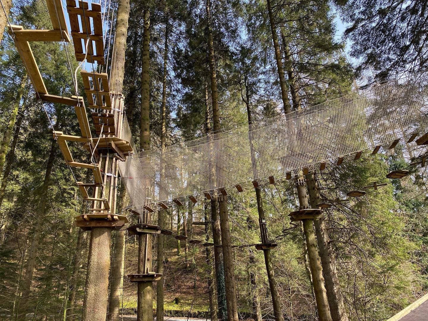 Go Ape Grizedale