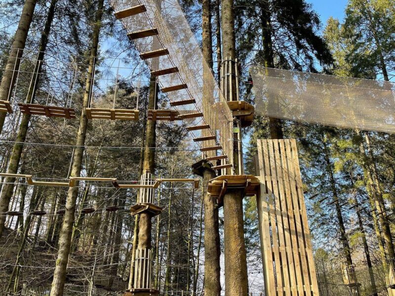 Go Ape Grizedale