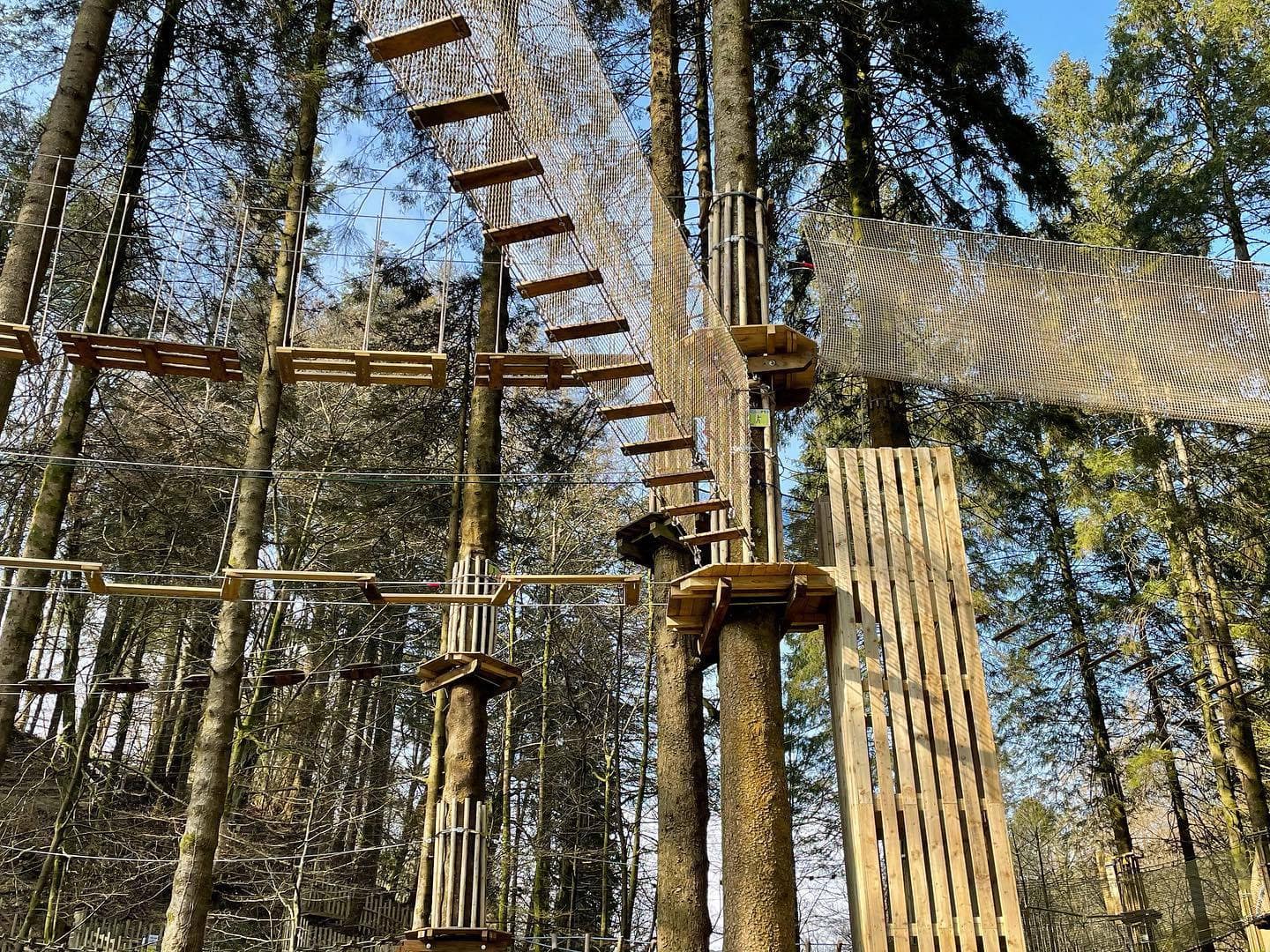 Go Ape Grizedale