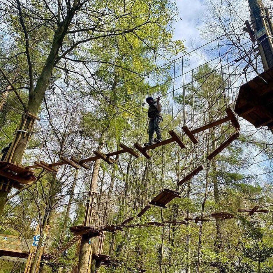 Go Ape Black Park