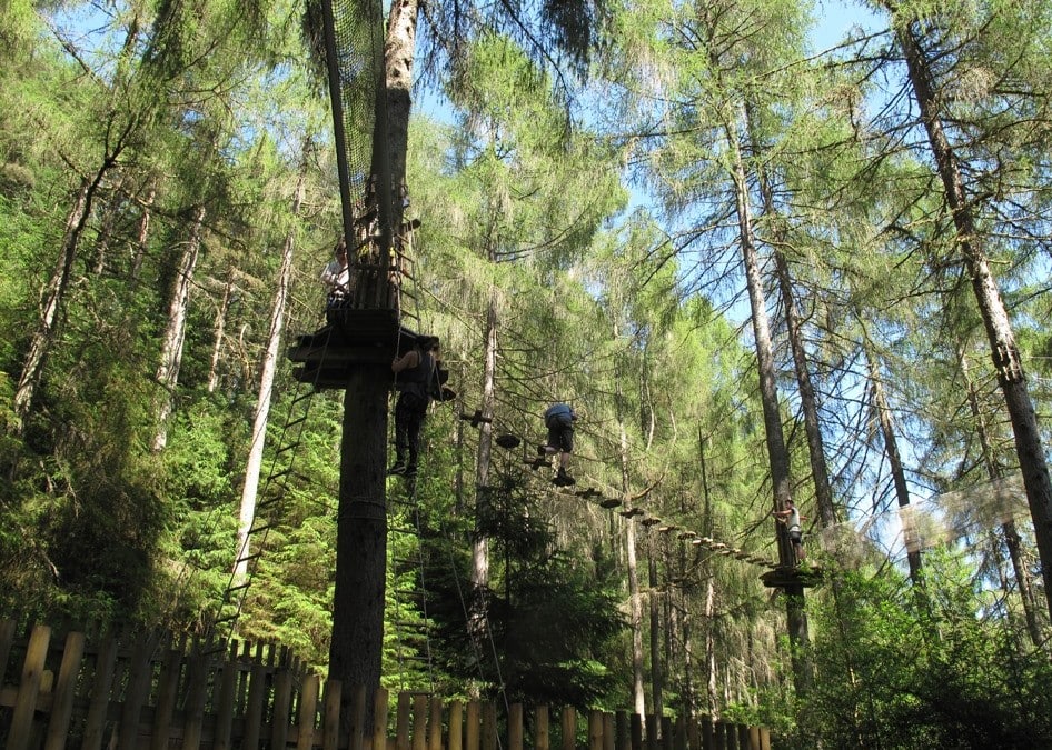 Go Ape Aberfoyle