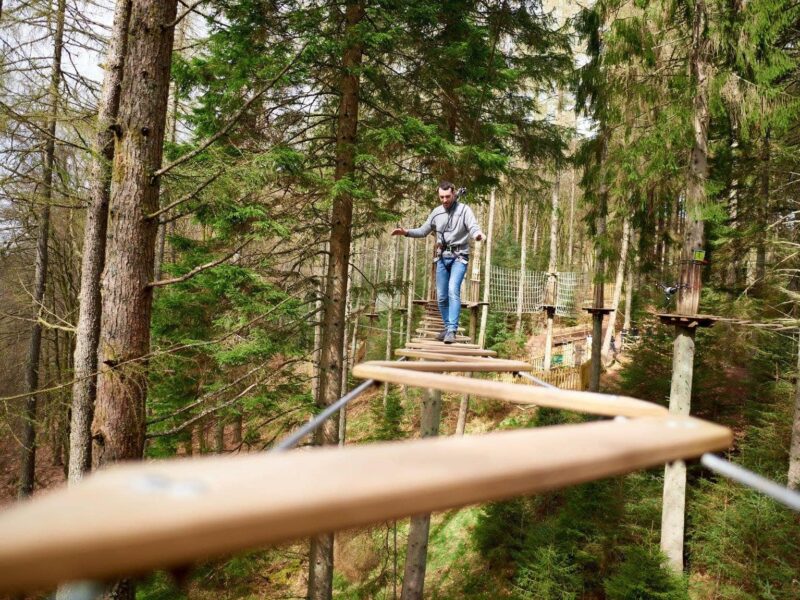 Go Ape Aberfoyle