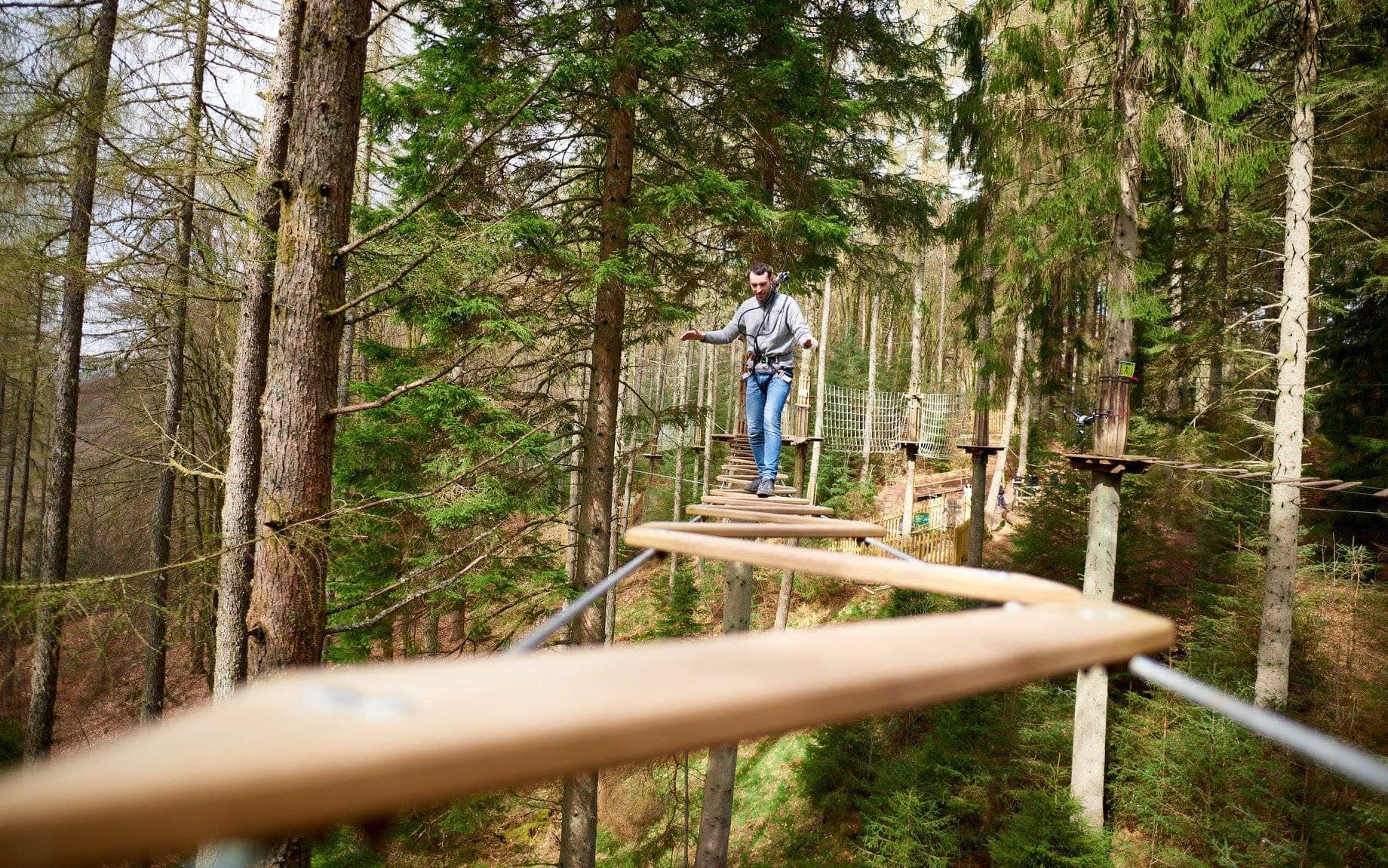 Go Ape Aberfoyle