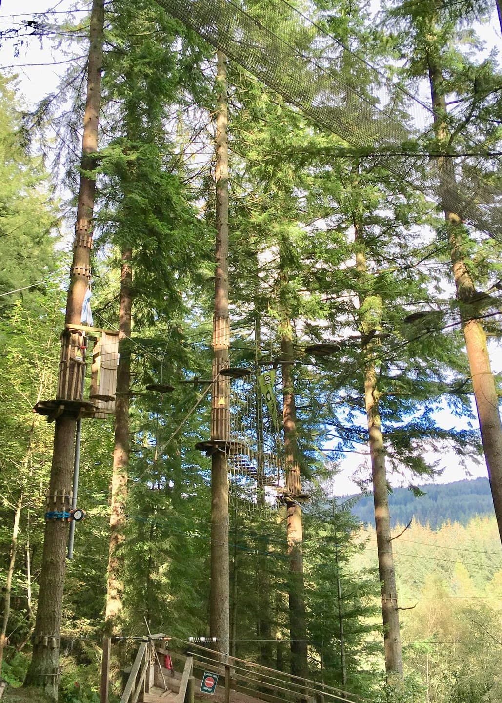 Go Ape Glentress Forest Peebles