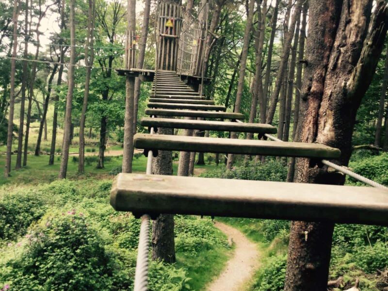 Go Ape Margam - Where To Go With Kids