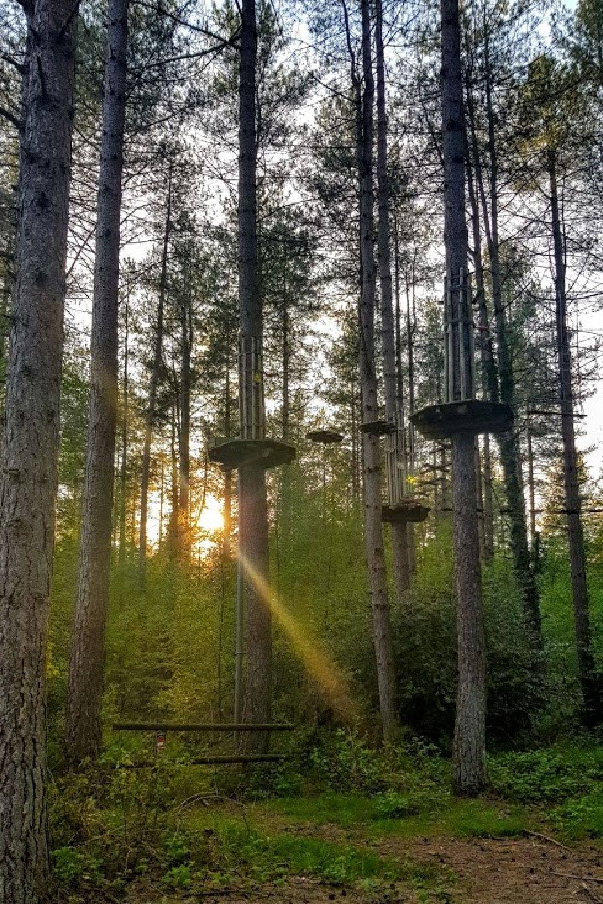 Go Ape Moors Valley