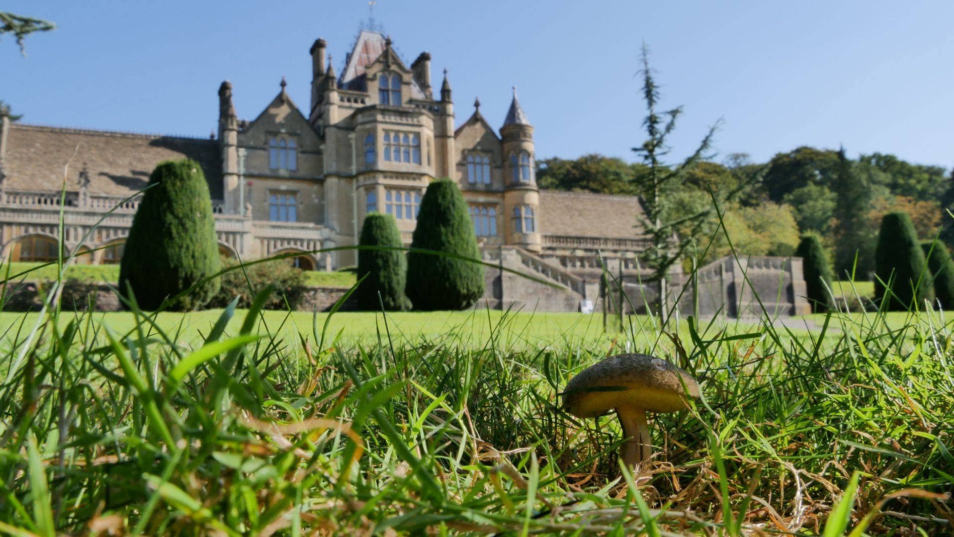 Tyntesfield National Trust - Where To Go With Kids - Somerset