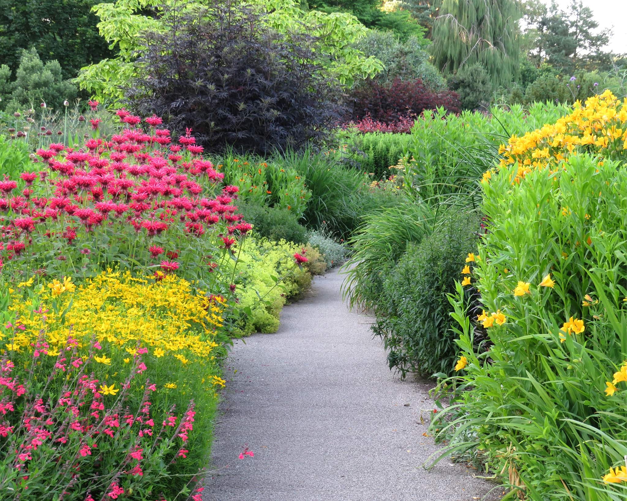 RHS Garden Rosemoor