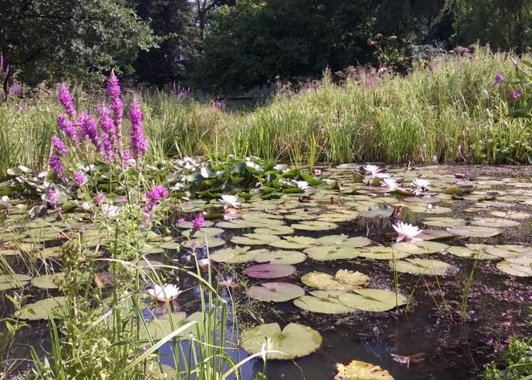 Braywick Nature Centre