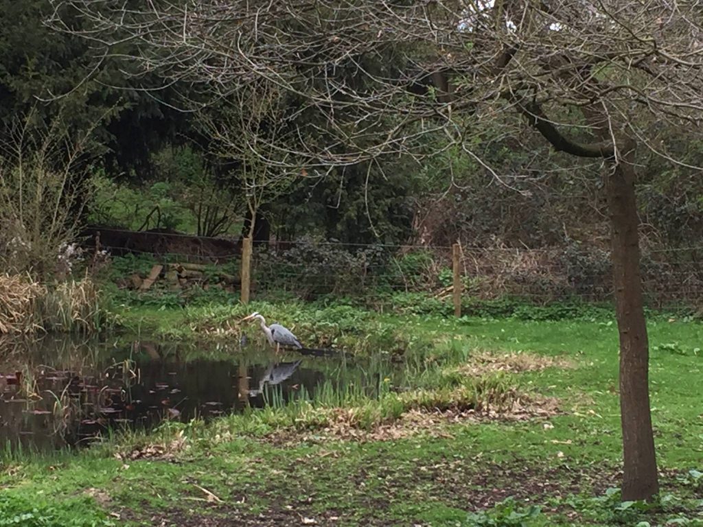 Braywick Nature Centre