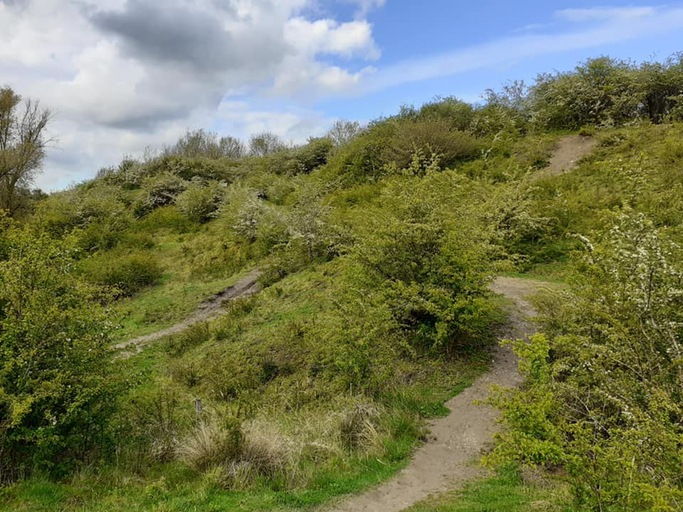 Fermyn Woods Country Park