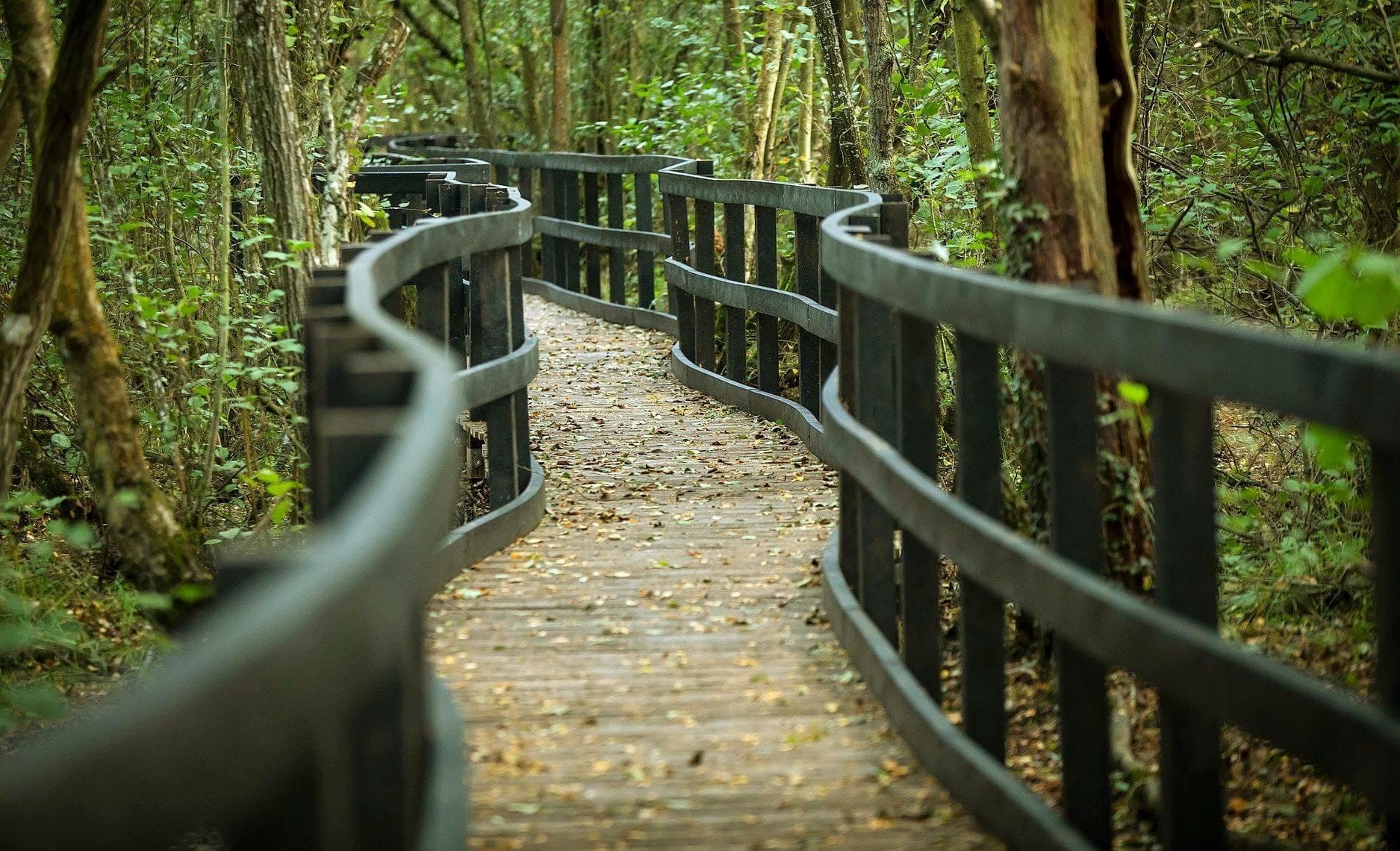 California Country Park