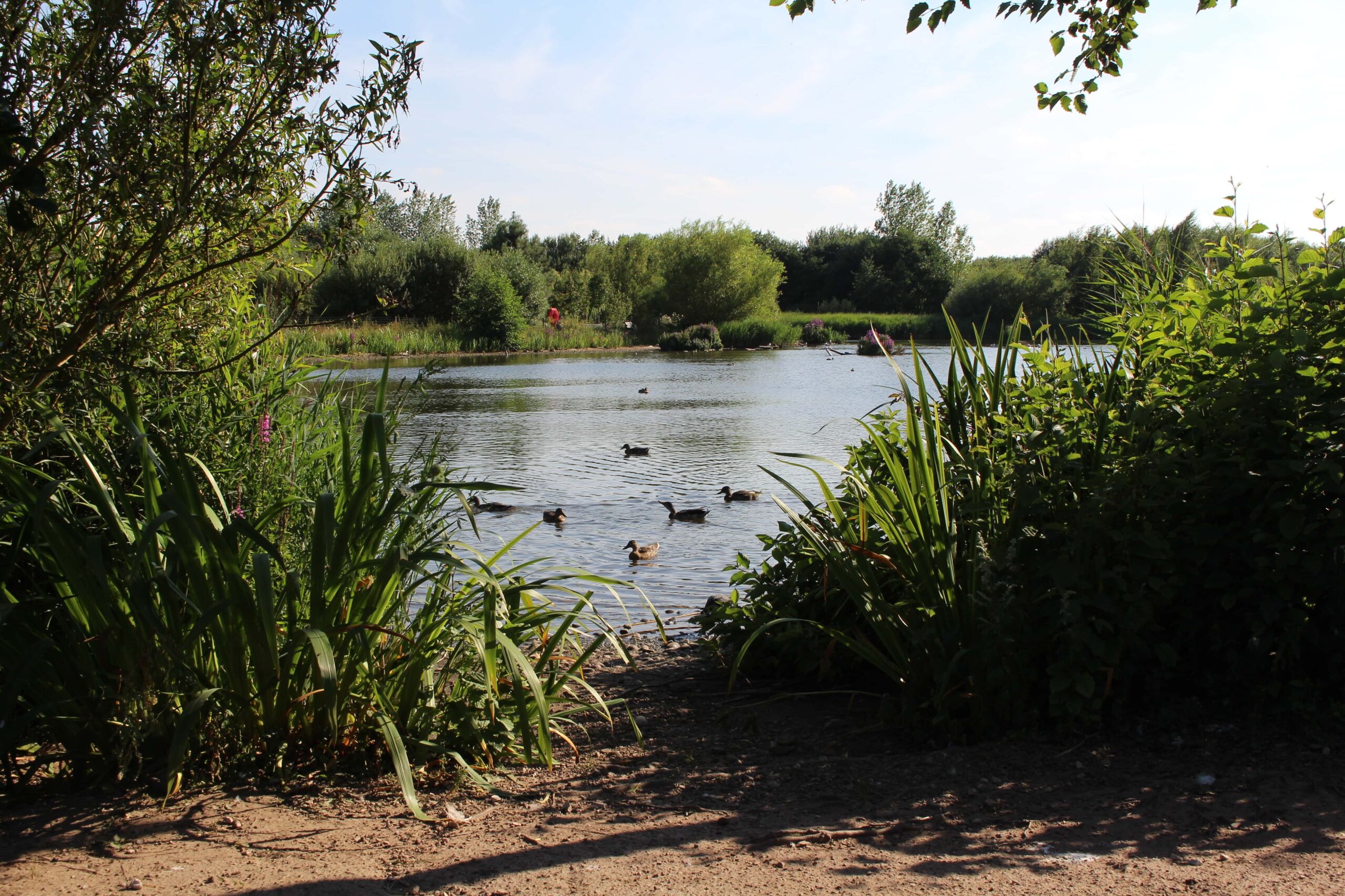 Rushcliffe Country Park