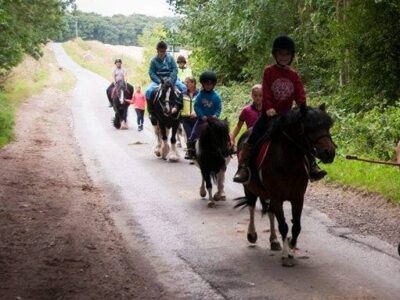 Woldgate Trekking and Livery Centre