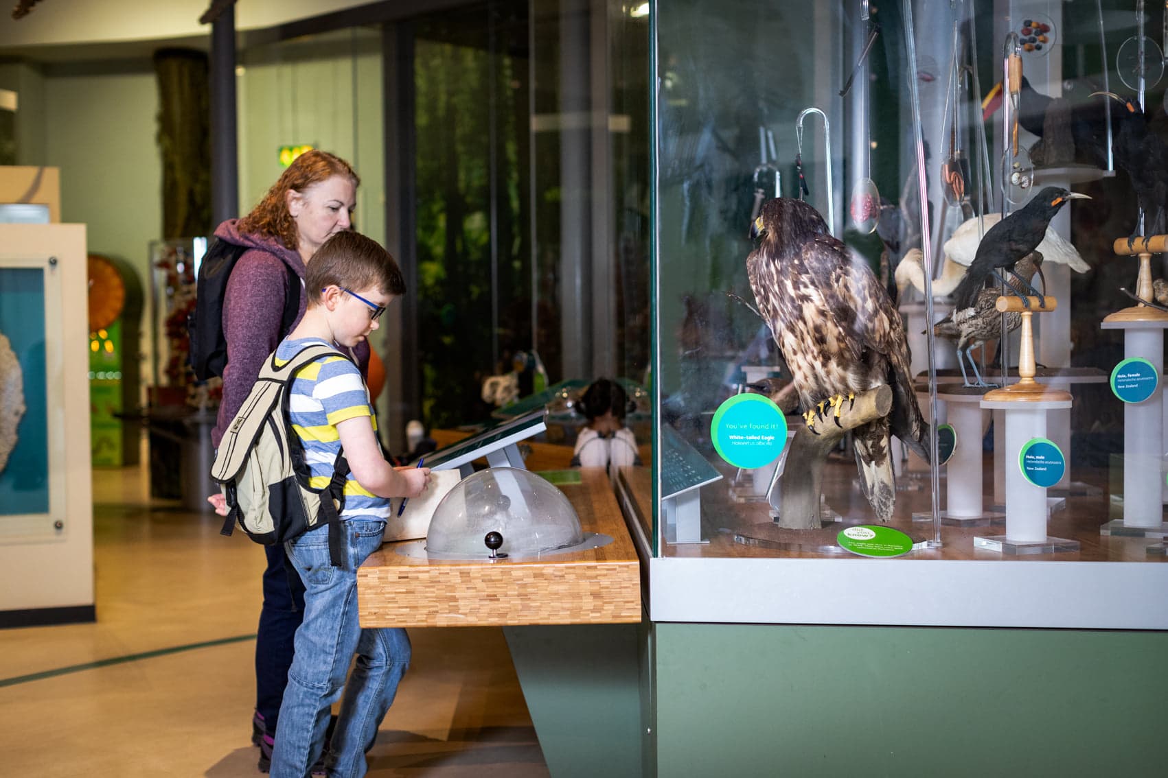 Leeds City museum 