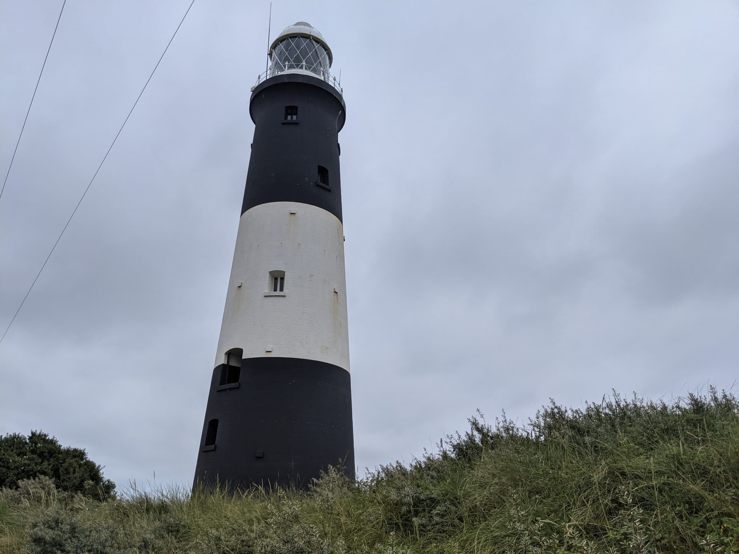 are dogs allowed at spurn point