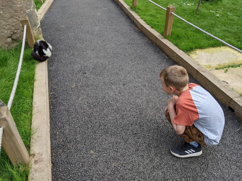 Ponderosa Zoo