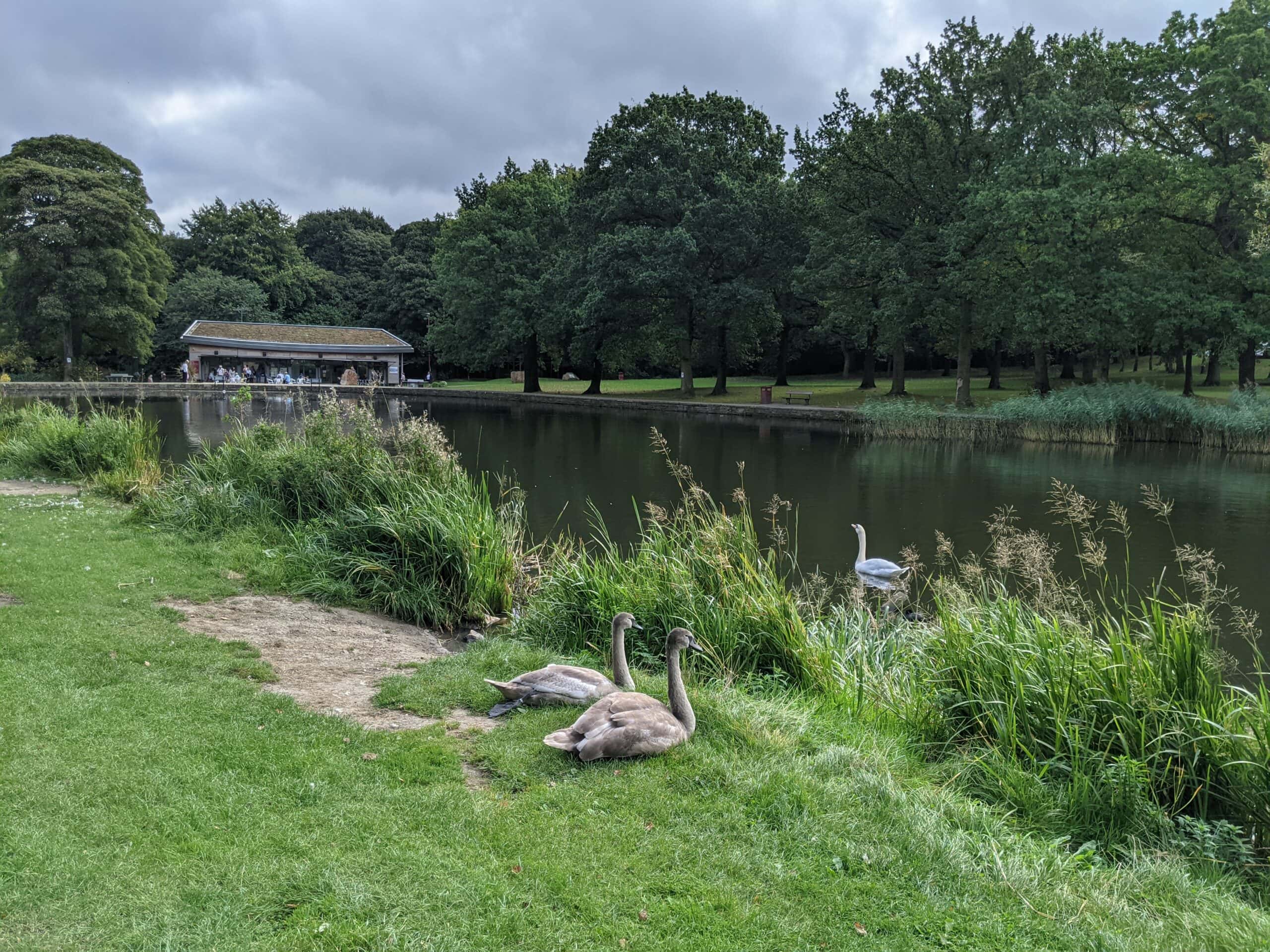 Middleton railway and Park