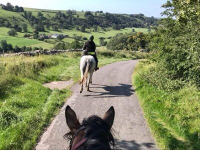 Northfield Farm Riding and Trekking Centre