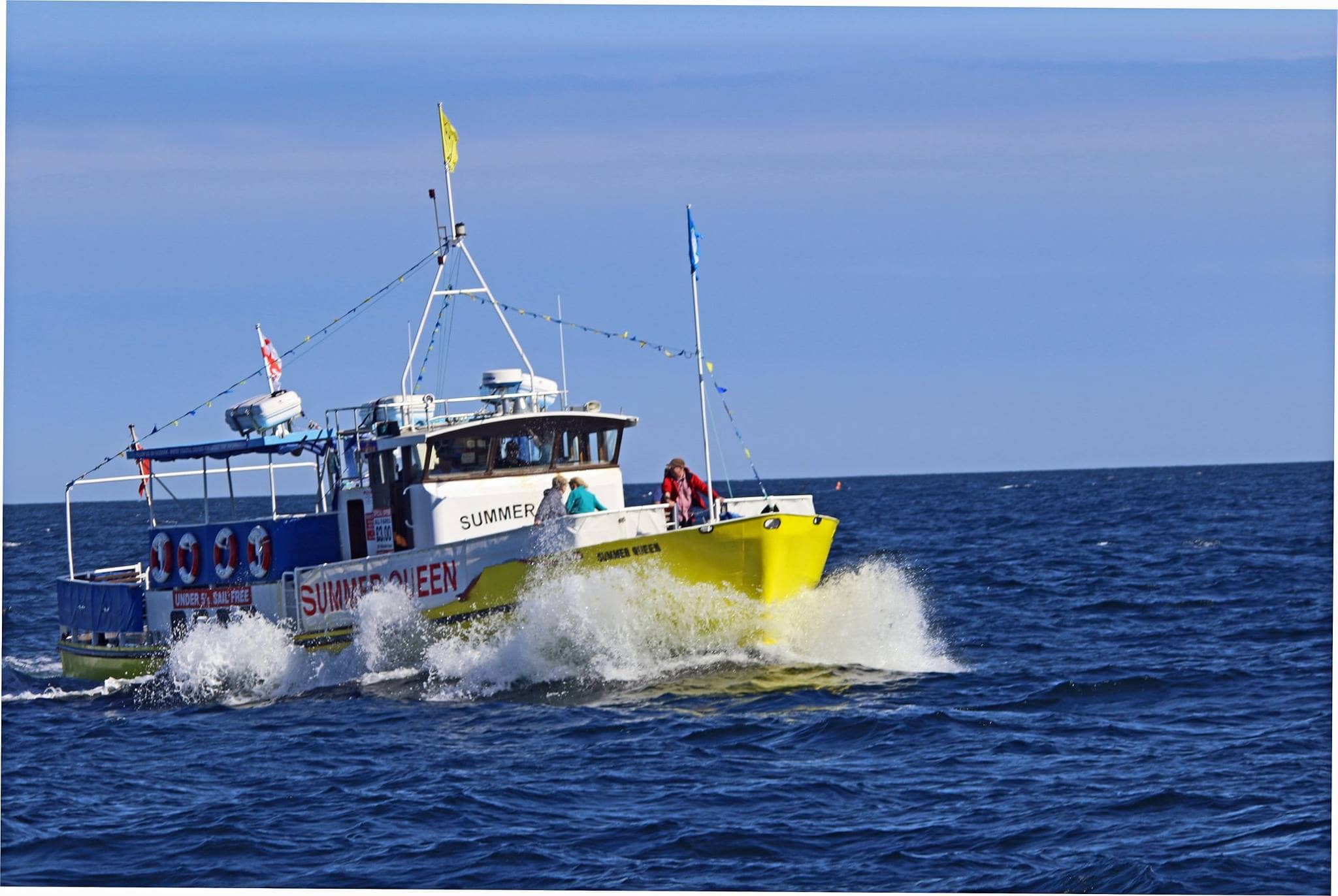 Whitby Whale Watching