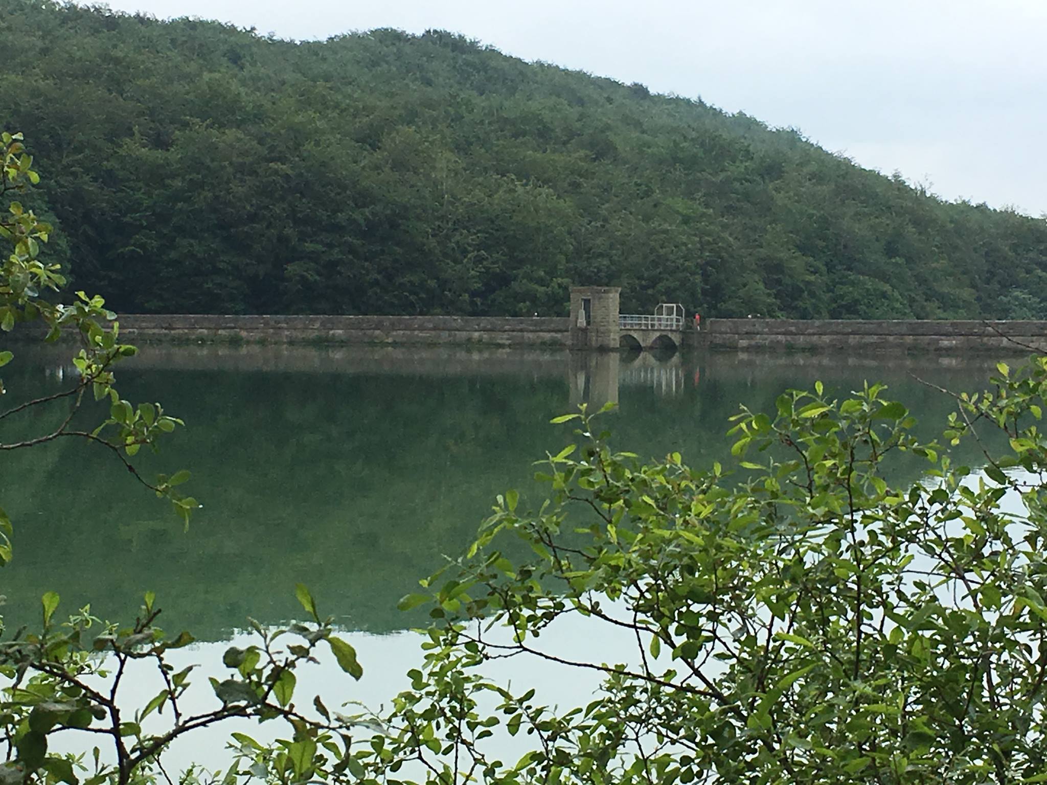 Linacre Reservoir