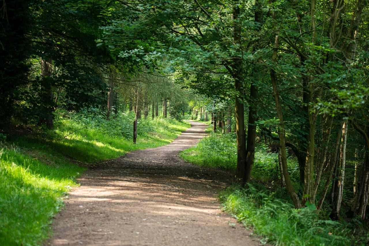 Linacre Reservoir