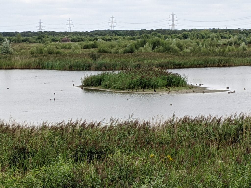 Potteric Carr Nature Reserve