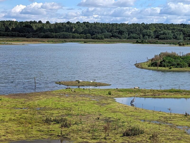 RSPB Dearne Valley Old Moor