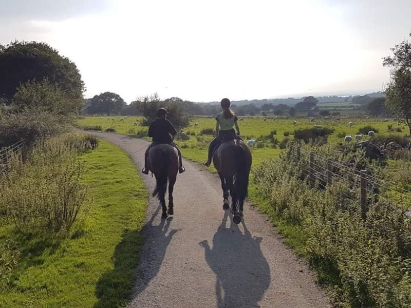 Snowdonia Riding Stables