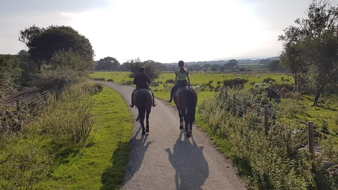 Snowdonia Riding Stables