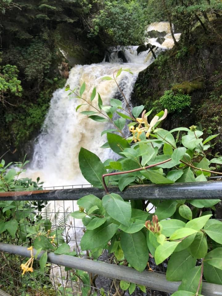 Devil's Bridge Falls