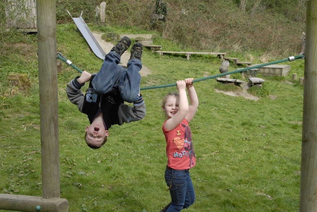 Welsh Wildlife Centre