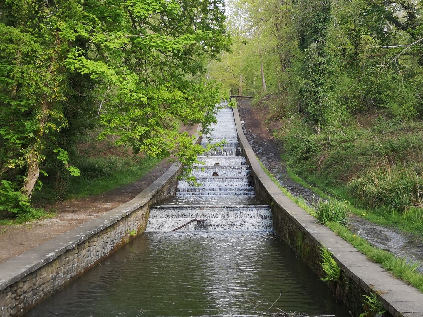 Gnoll Country Park