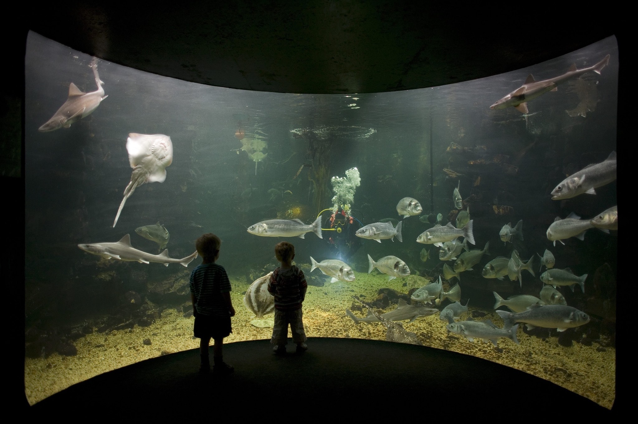 Anglesey Sea Zoo