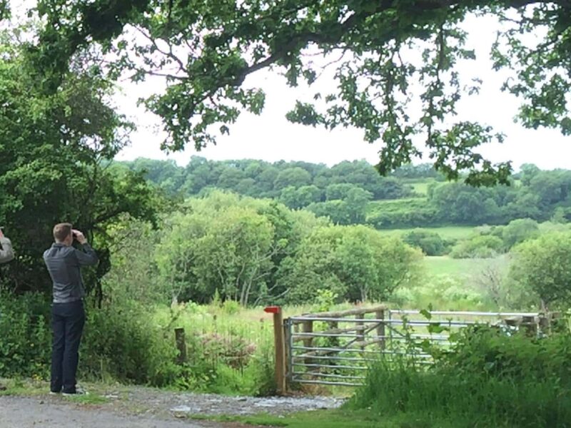 Welsh Wildlife Centre