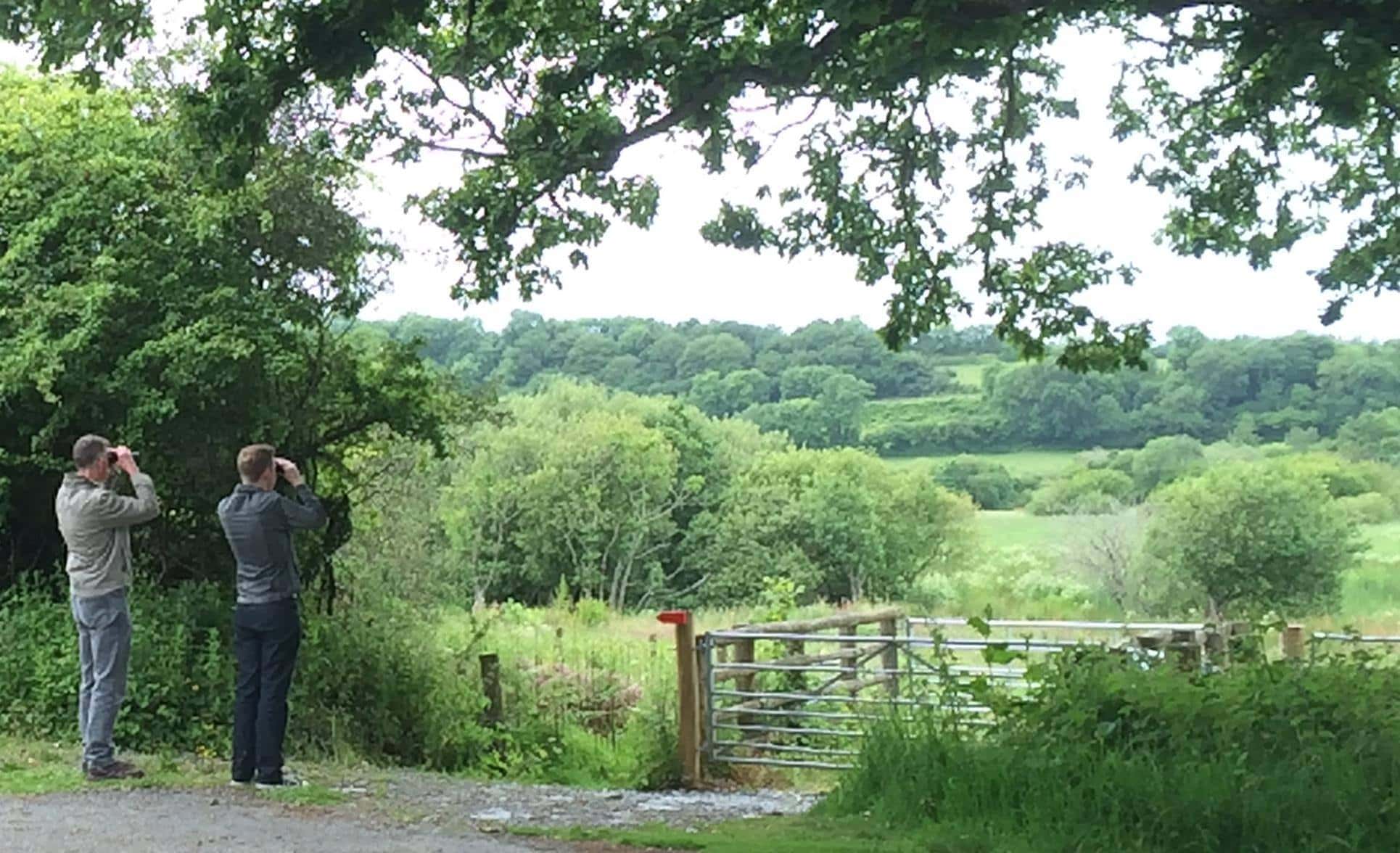 Welsh Wildlife Centre